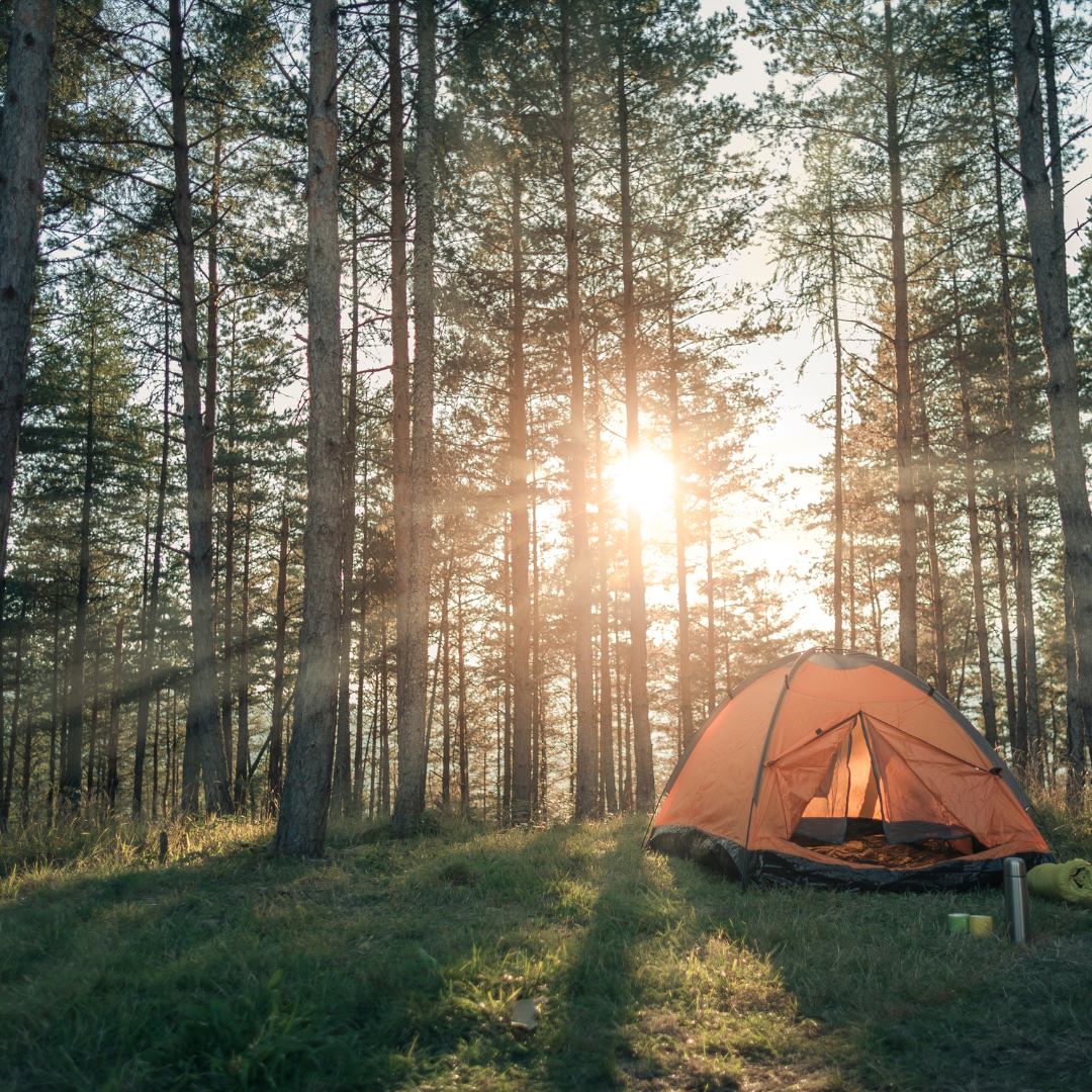 Discover the Top 10 Camping Spots in NSW, Australia: Unwind in Nature's Paradise