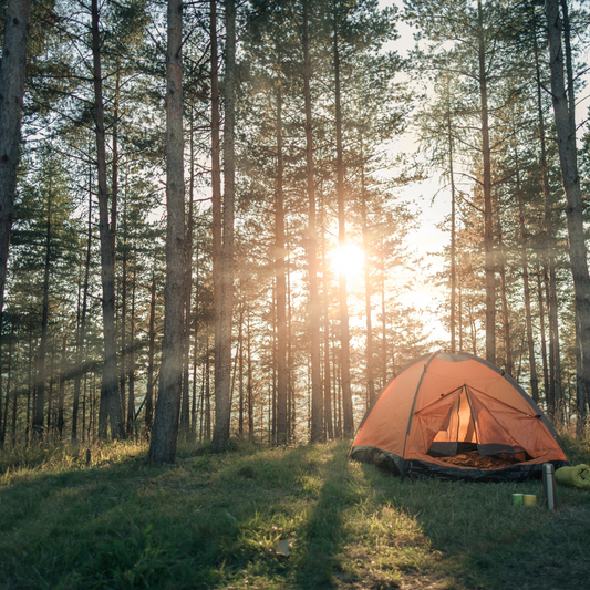 Top 5 Camping Spots on the NSW South Coast