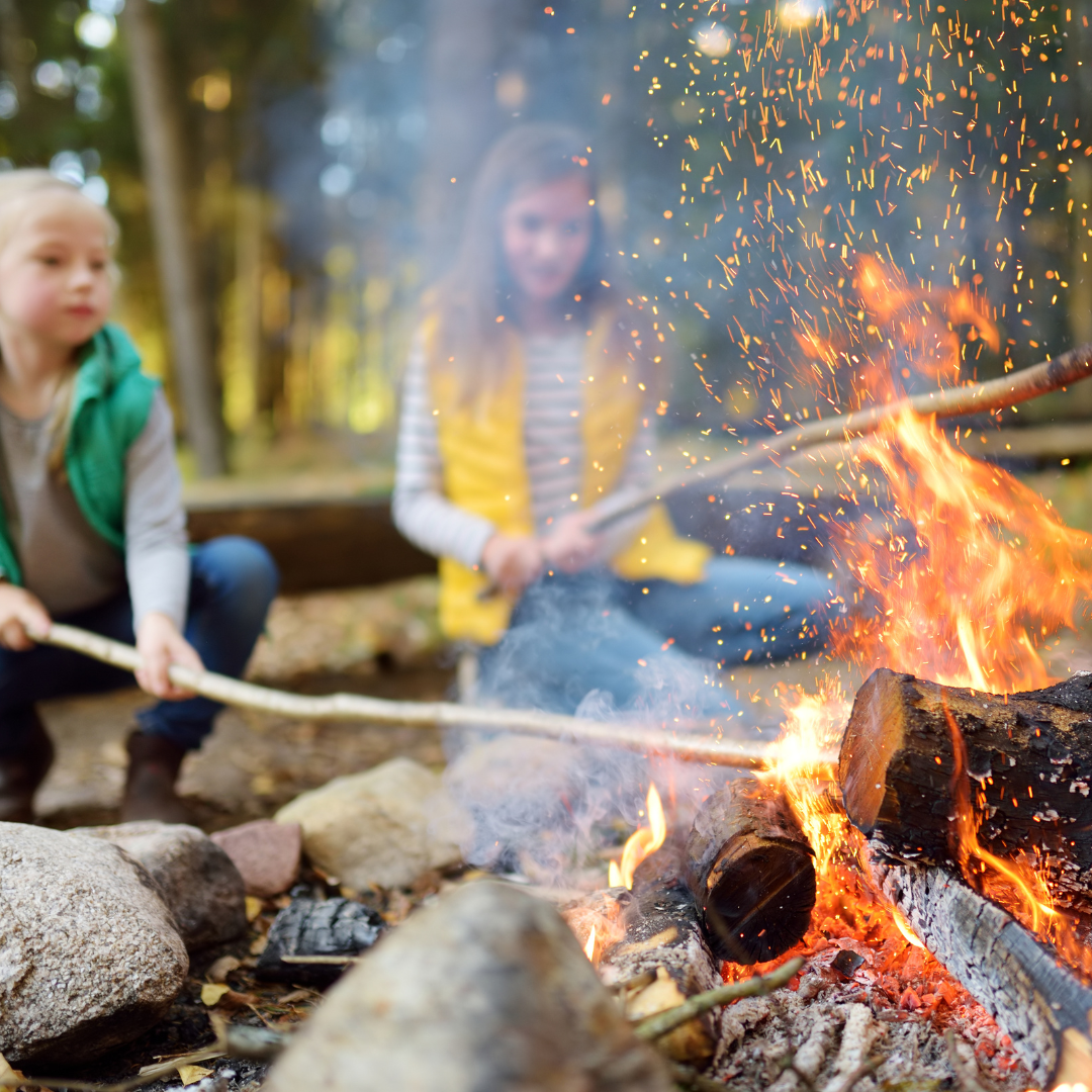 Best Camping Spots Within 2 Hours of Sydney: A Guide to Nature's Haven